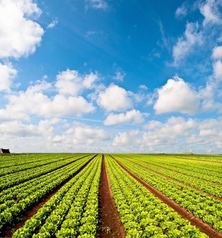 Farms