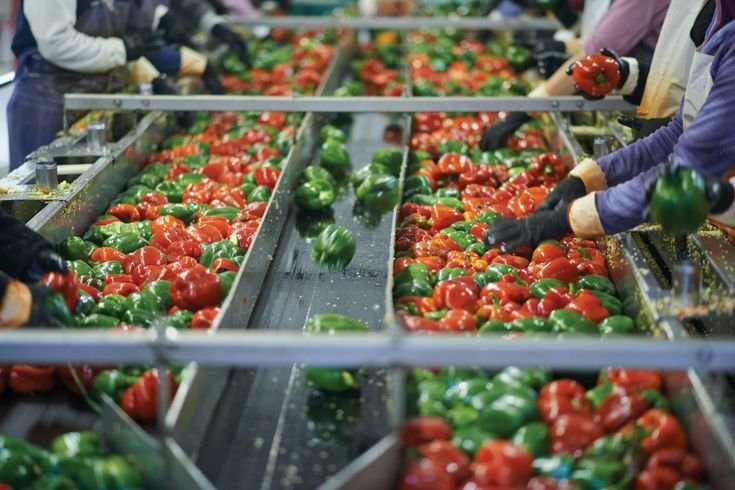 Processing Plants